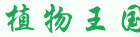 ֲ������